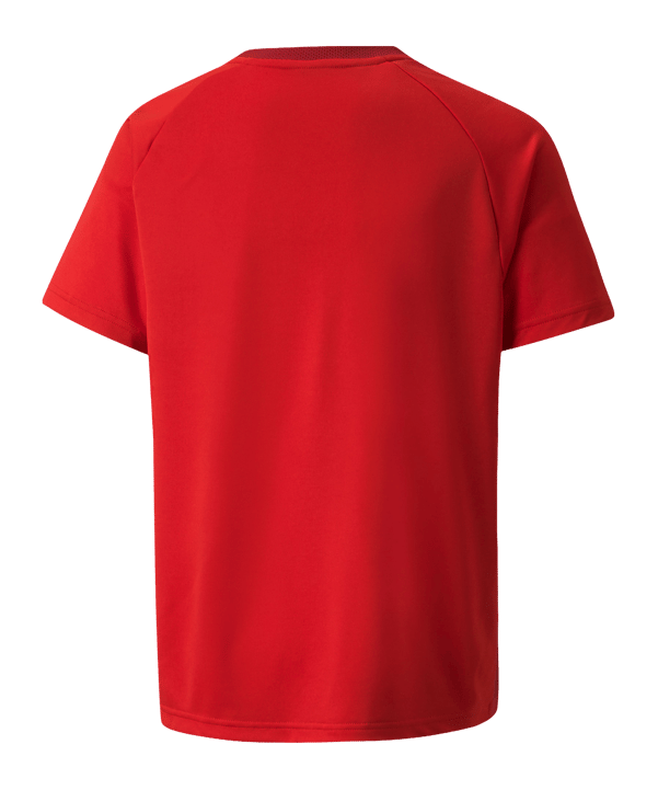 PUMA teamVISION Trikot Kids Rot F01 - rot
