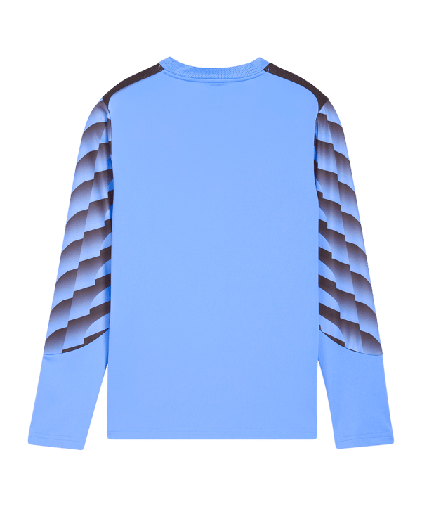PUMA teamLIGA26 Torwarttrikot Langarm Kids Blau F31 - blau