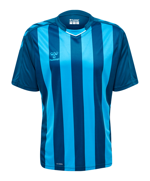 Hummel hmlCORE XK Striped Trikot Blau F7096 - blau