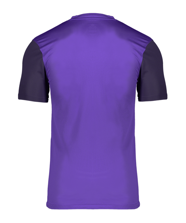 Nike Trophy V Trikot Lila F547 - lila