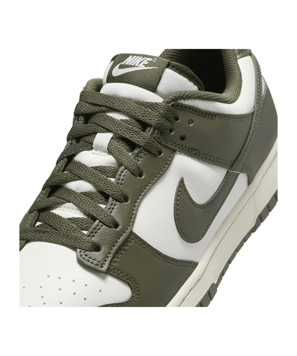 Nike Dunk Low Retro Sneaker Grau F102