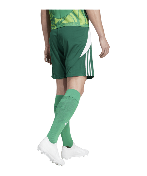 adidas Tiro 24 Short Grün Weiss - gruen