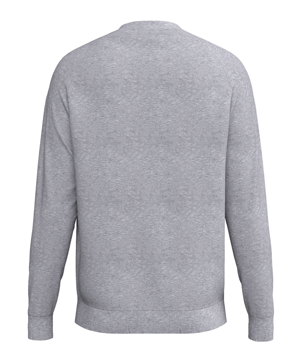Erima CMPT Wings Sweatshirt Grau F2072620