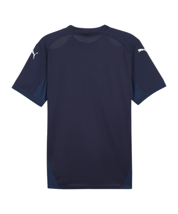 PUMA teamFINAL Trikot Blau Weiss Blau F06 - blau