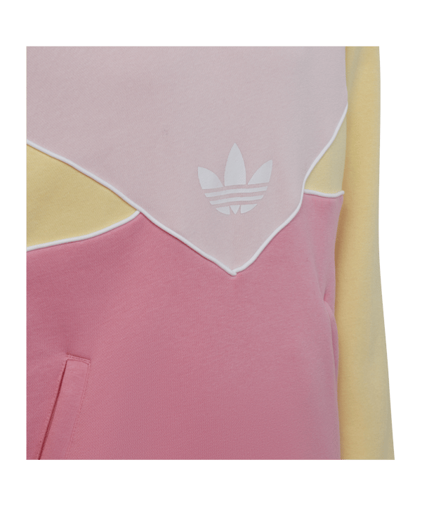 adidas Originals Adicolor Hoodie Pink - rosa