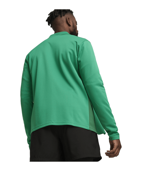 PUMA teamGOAL Trainingsjacke Grün F05 - gruen