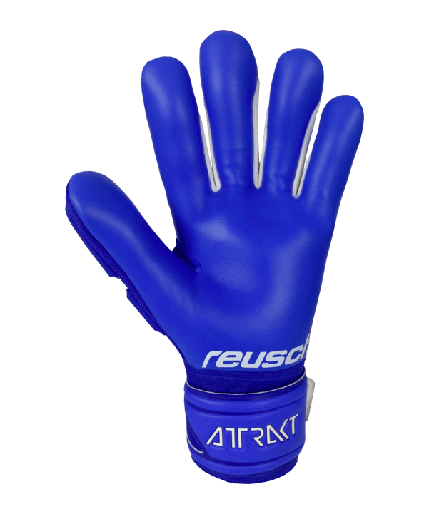 Reusch Attrakt Freegel TW-Handschuh F4010 - blau