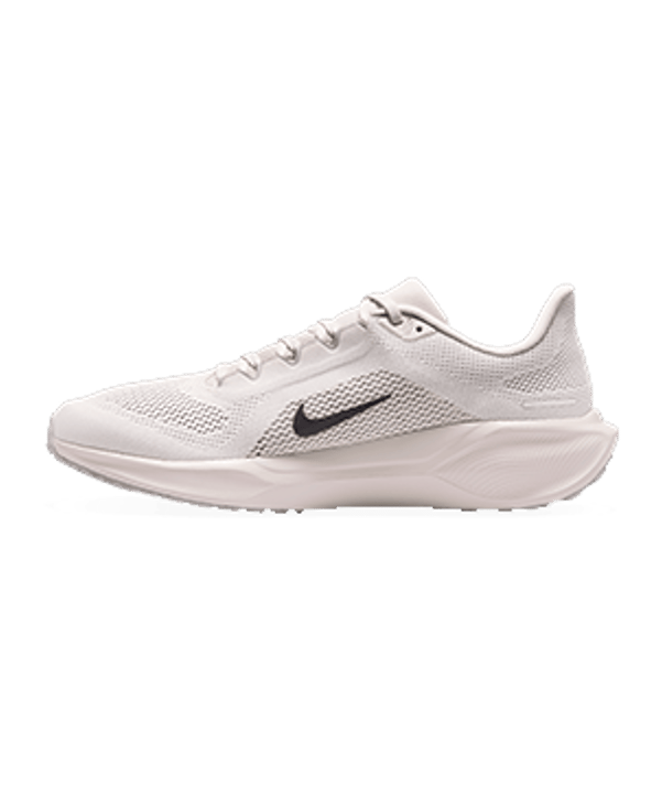 Nike Pegasus 41 Road Laufschuh Grau F011 - grau