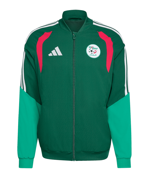 adidas Algeria Tiro Giacca da rappresentanza Verde - verde
