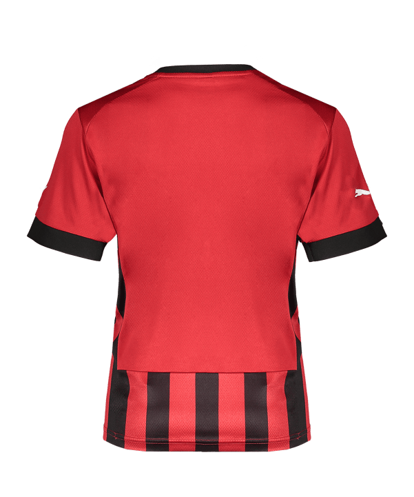 PUMA Trikot Kids Rot F01 - rot