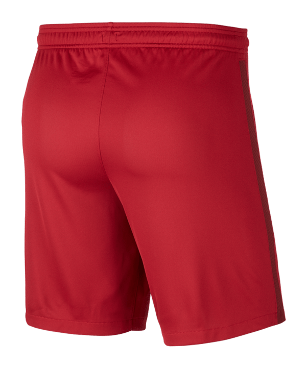 Nike AS Rom Short Home 2020/2021 F613 - rot