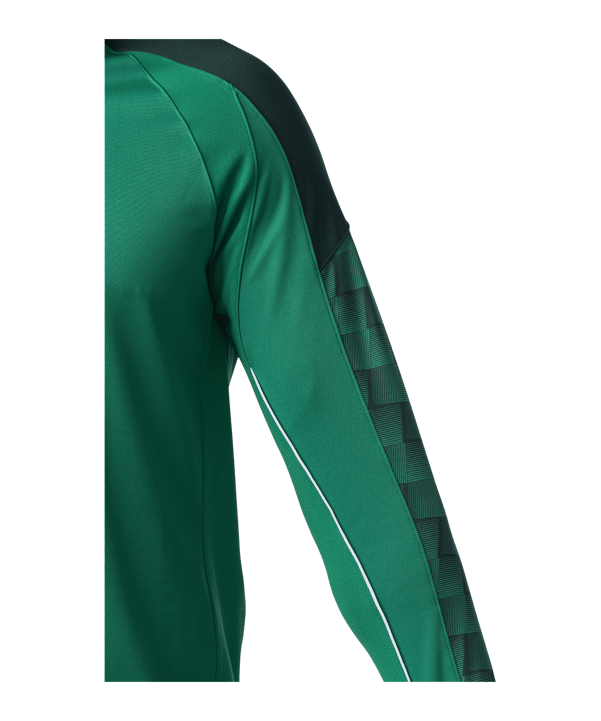Erima EVO STAR Trainingsshirt Grün F1262403 - gruen