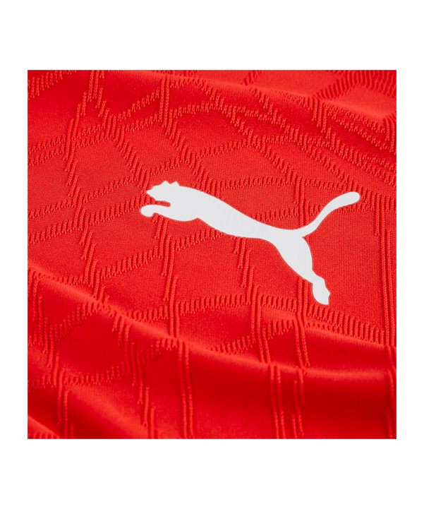 PUMA teamFINAL26 Knit Shirt Rood K01 - rood