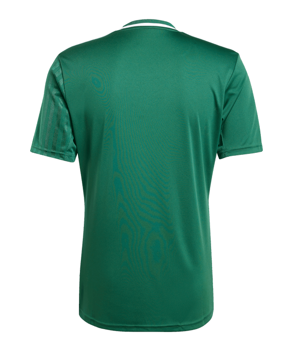 adidas Campeon 25 Trikot Grün - gruen