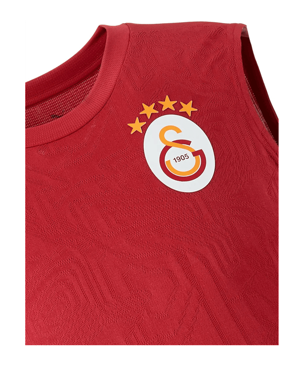 PUMA Galatasaray Istanbul Training SL T-Shirt Rot F202 - rot