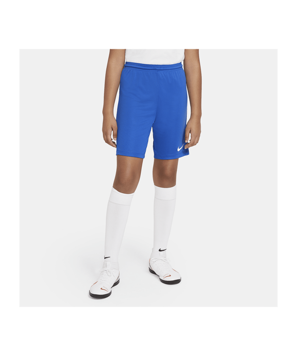 Nike Park III Court Enfants Bleu C463 - bleu