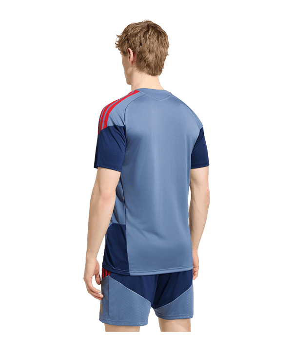 adidas FC Bayern München Trainingsshirt Blau - blau