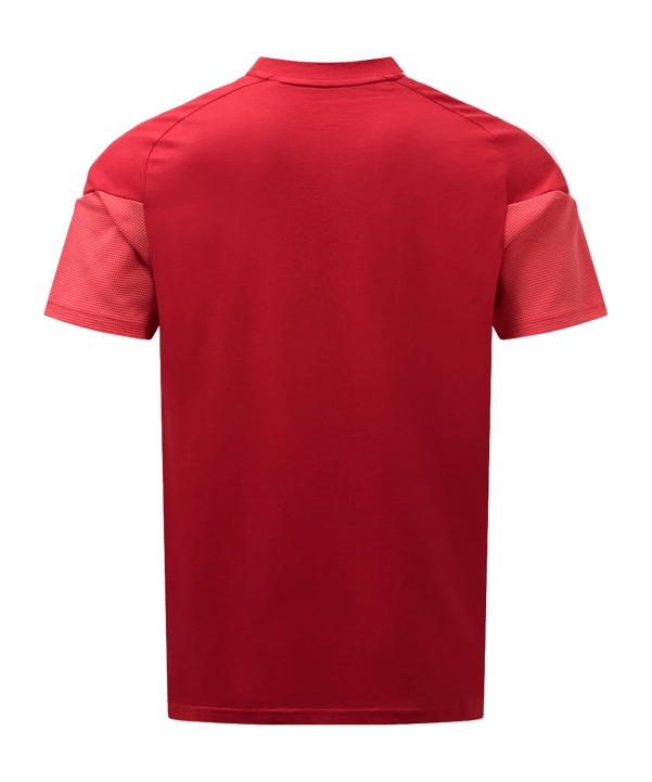 adidas Fortuna Düsseldorf Presentatie T-Shirt Rood - rood