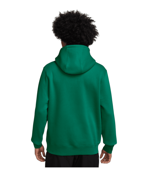 Nike Club Sweatshirt à capuche Vert C365 - vert