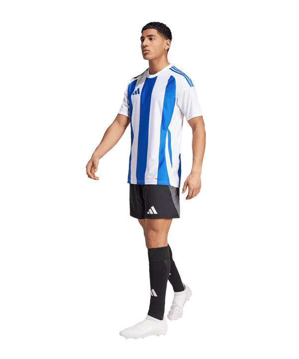 adidas Striped 24 Trikot Weiss Blau - weiss