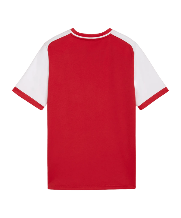 PUMA teamLIGA26 Matchday Trikot Kids Rot F01 - rot