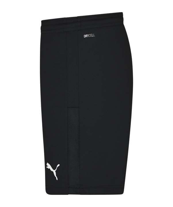 PUMA teamGOAL 23 Knit Shorts Damen Schwarz F03 - schwarz