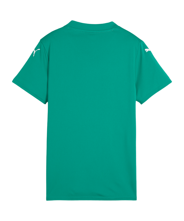 PUMA teamGLORY Trikot Damen Grün F005 - gruen