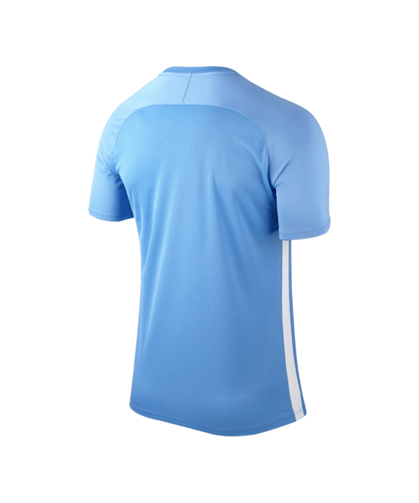 Nike Striped Segment III Trikot kurzarm Blau F412 - blau