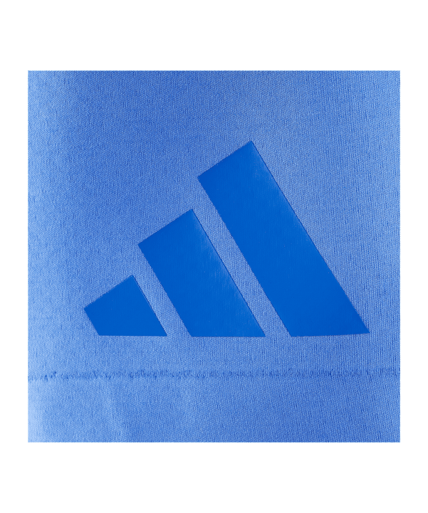 adidas FC Schalke 04 Z.N.E Short Blau