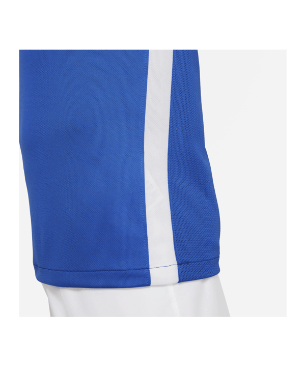 Nike Challenge IV Trikot Kids Blau Weiss F463 - blau
