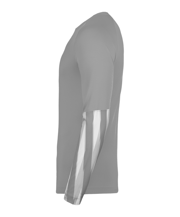 Nike Park V Trikot langarm Grau F097 - grau