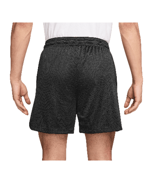 Nike Pracatice Mesh 5In Short Schwarz F010