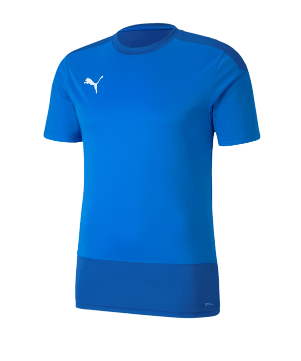 PUMA teamGOAL 23 Training Trikot Blau F02 - blau