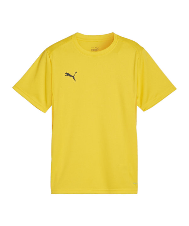 PUMA teamGOAL Trikot Kids Gelb F07 - gelb
