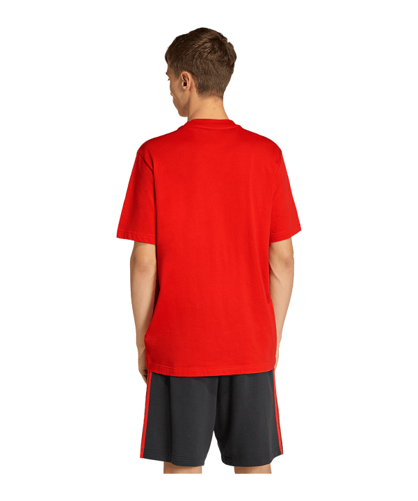 adidas Belgien DNA Graphic T-Shirt Rot - rot