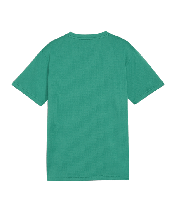 PUMA teamGOAL Trikot Kids Grün F05 - gruen