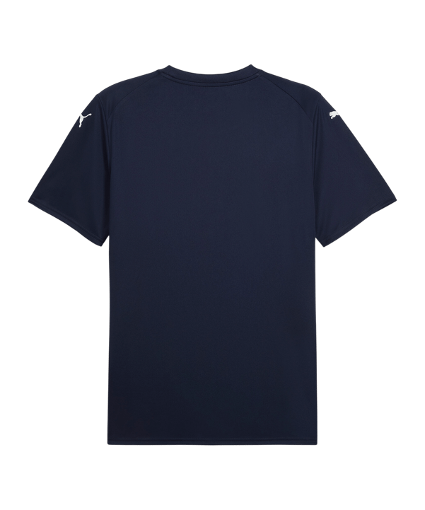 PUMA teamFINAL Graphic Trikot Blau F06 - blau