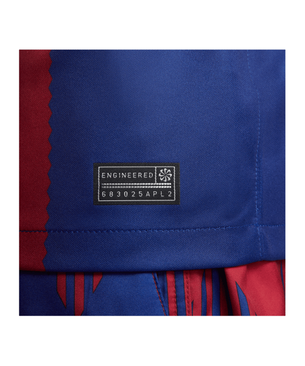Nike FC Barcelona Trikot Home 2023/2024 Blau F456 - blau