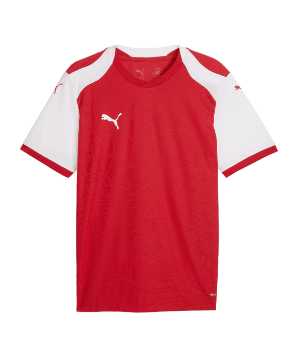 PUMA teamFINAL26 Knit Shirt Rood K01 - rood