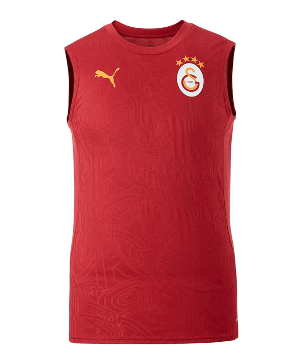 PUMA Galatasaray Istanbul Training SL T-Shirt Rot F202 - rot
