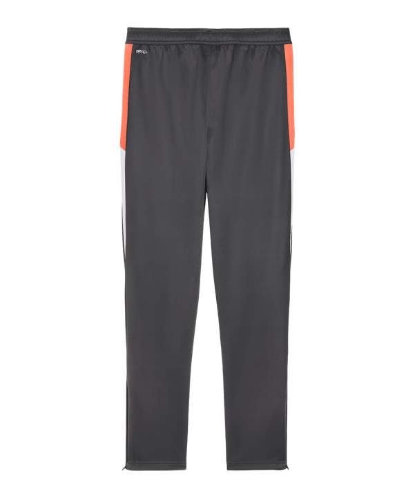 PUMA Individualliga Trainingshose Kids Grau F10 - grau