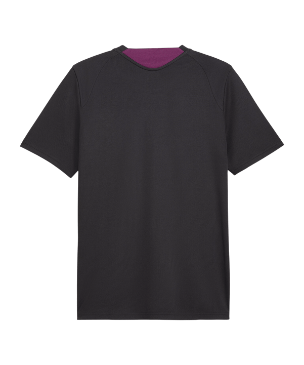 PUMA Galatasaray Istanbul Training Trikot Grau F05 - grau