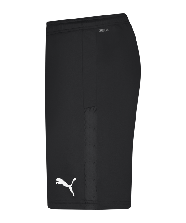 PUMA teamGOAL 23 Knit Short Schwarz F03 - schwarz