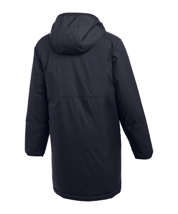 Nike Park 20 Winterjacke Kids Blau F451 - blau
