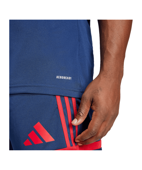 adidas Squadra 25 Trikot Blau Rot - blau