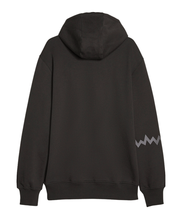 PUMA Hoops Team Hoody Schwarz F001 - schwarz