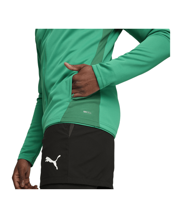 PUMA teamGOAL Trainingsjacke Grün F05 - gruen