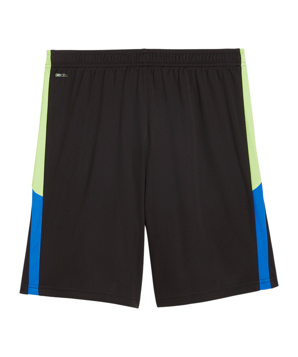 PUMA IndividualLiga Training Short Schwarz F02 - schwarz