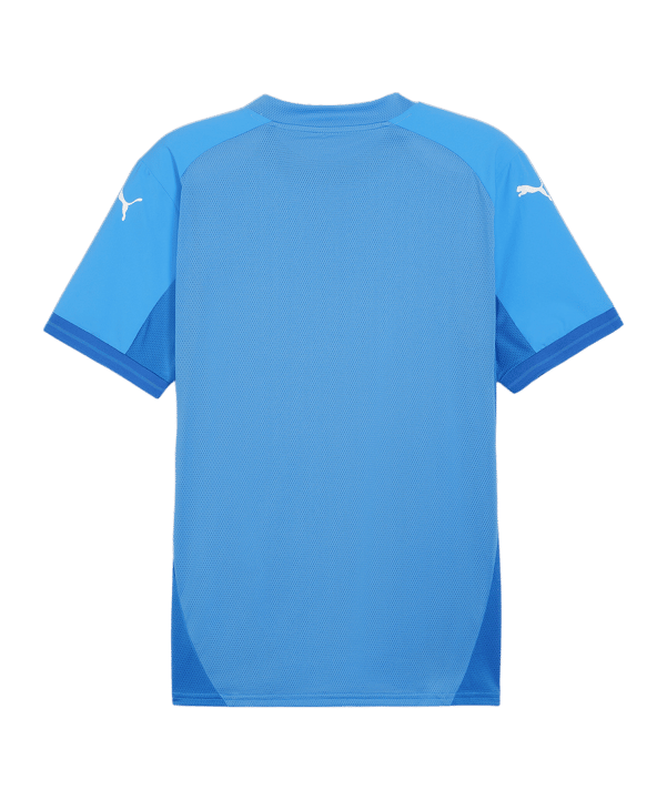 PUMA teamFINAL Trikot Blau Weiss Blau F02 - blau