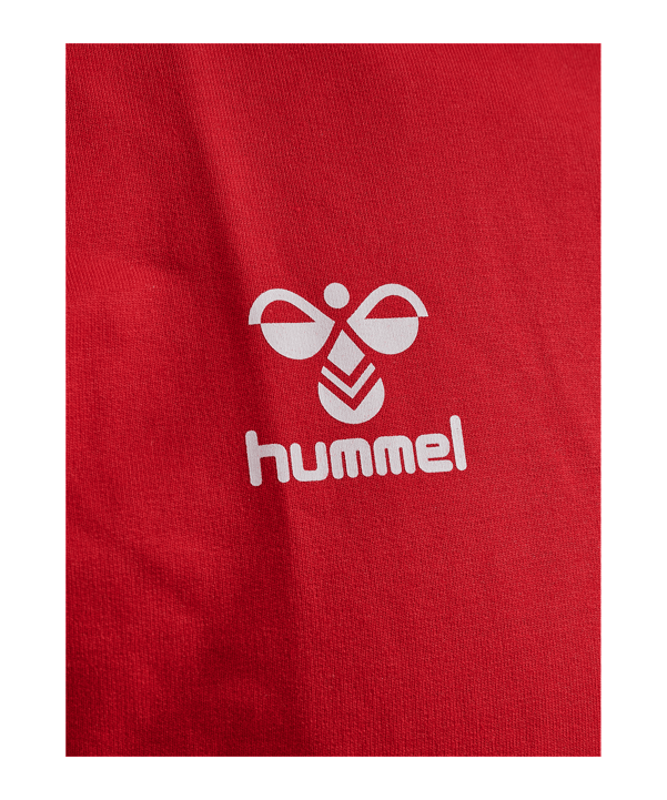 Hummel 1. FC Köln Travel Sweatshirt 2024/2025 Kids Rot F3062 - rot